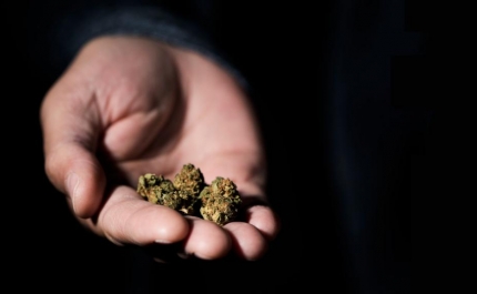 Nova lei da droga que descriminaliza as drogas sintéticas entra hoje em vigor