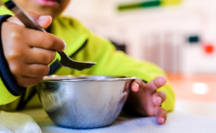 Assembleia Municipal de Lagos: Selo Escola Amiga da Nutrição e Alimentação nas Escolas de Lagos