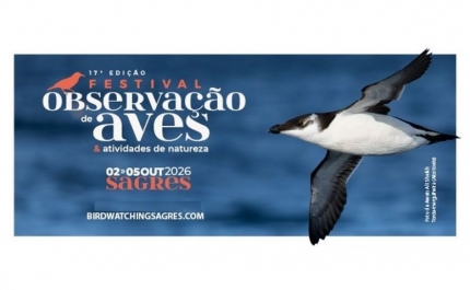 Inscrições para Festival de Observação de Aves de Sagres superam em uma semana total de 2025