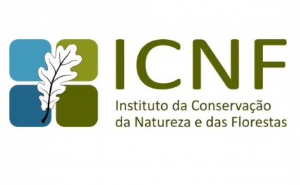 ICNF forçado a lançar novo concurso para 21 programas para áreas protegidas