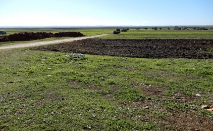 Geminação do Município de Lagos com Município de Ksar El Kebir 