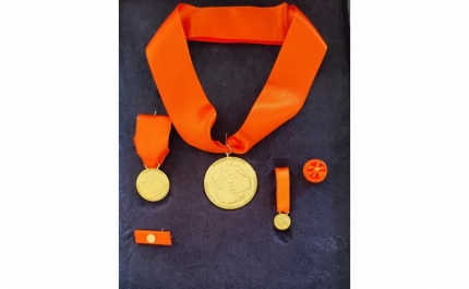VÍTOR ALEIXO DISTINGUIDO PELO MAI COM MEDALHA DE MÉRITO DE PROTEÇÃO E SOCORRO – GRAU OURO 