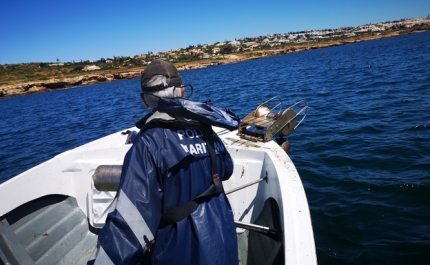 Polícia Marítima apreende arte de pesca com cerca de 900 metros de comprimento entre Lagos e Sagres