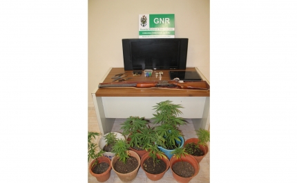 Detido por tráfico de estupefacientes e posse ilegal de armas