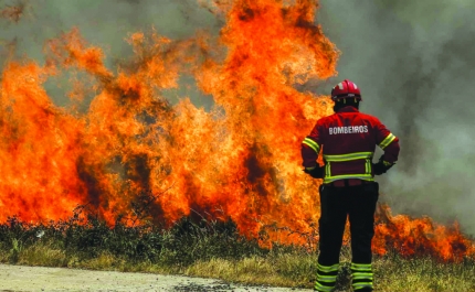 Incêndios: Mais de 50 concelhos de oito distritos em risco muito elevado