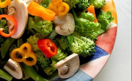 Monchique introduz menu vegetariano nas escolas para promover alimentação saudável