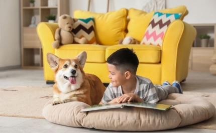 «Poesia em Boa Cãopanhia» leva a leitura e a poesia para junto dos amigos de quatro patas