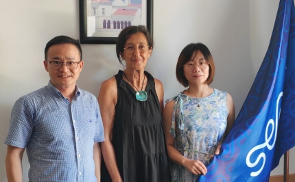 UAlg recebe comitiva da Northeast Normal University (China)