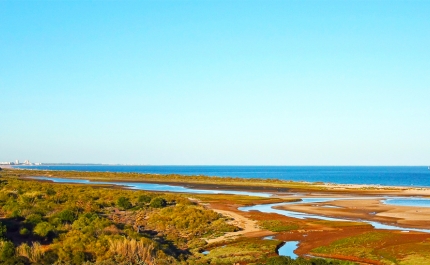 Os atentados ambientais multiplicam-se no Algarve - BE