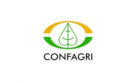 Seca: Confagri diz que agricultores não podem pagar por «sucessivos erros»