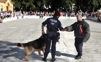 CERTIFICAÇÃO DE TREINADORES DE CÃES PERIGOSOS E POTENCIALMENTE PERIGOSOS