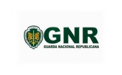 GNR registou 21.548 crimes de burla em 2023