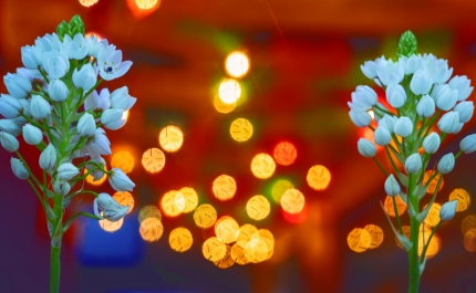 Museu de Portimão inaugura exposição da 25ª Corrida Fotográfica de Portimão 