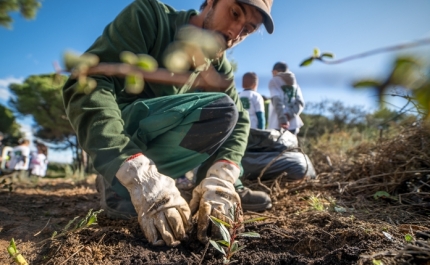 Circuito de Manutenção de Marim ficou mais verde no Dia da Floresta Autóctone