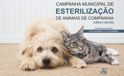 Município de Lagos promove nova campanha de esterilização de animais de companhia