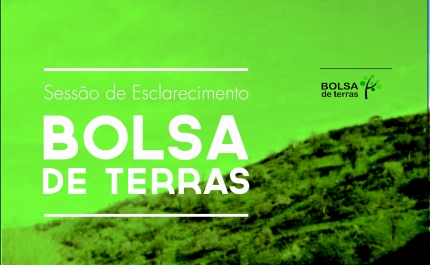 Odiana organiza Sessão sobre Bolsa de Terras