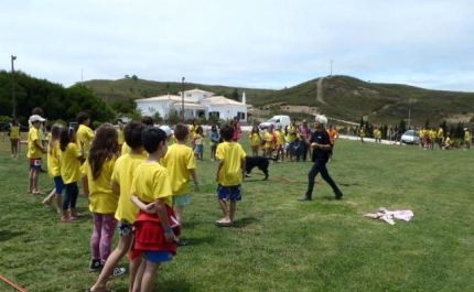 Monchique envolve 200 Jovens no Programa - Férias Desportivas 2014