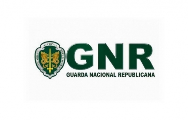 Apreendidas cerca de 1.000 camisolas desportivas contrafeitas em encomendas no Algarve
