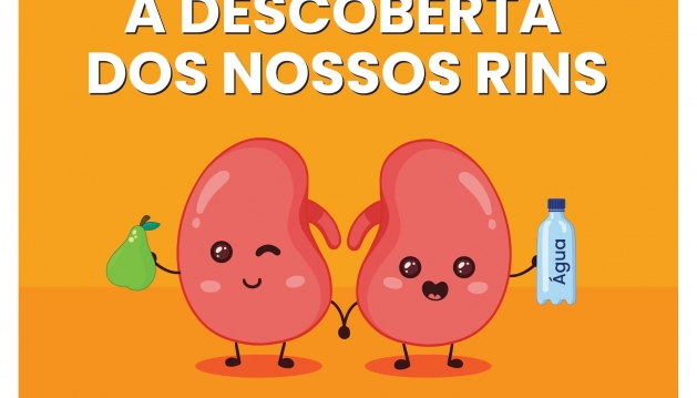 Jogo educativo sobre a doença renal chega às salas de aula neste ano letivo 