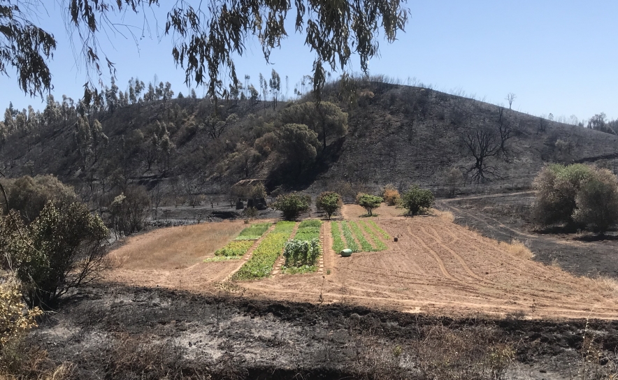 Agricultores de Monchique recebem apoio da Câmara Municipal para recuperar equipamentos agrícolas destruídos pelo incêndio