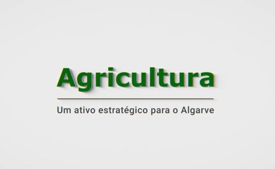 A eficiência hídrica na agricultura algarvia 