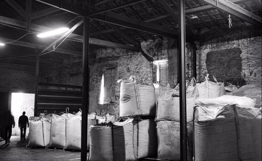 EXPOSIÇÃO ALFARROBA «MEMÓRIA(S) DE UMA VIDA» PROMOVE IDENTIDADE REGIONAL