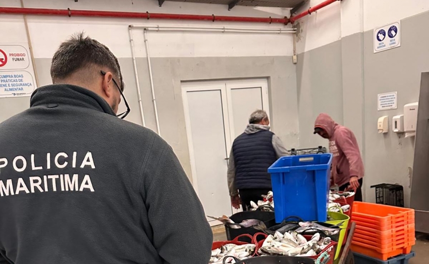 Polícia marítima apreende 575kg de pescado em Tavira