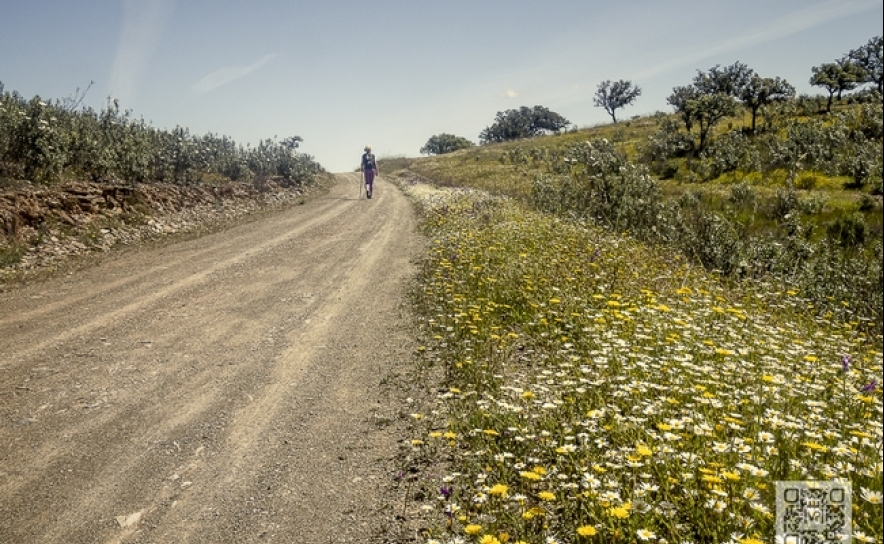 Fotografar a Serra – Ameixial