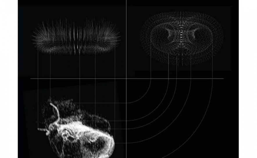 ARTE EM QUARTEIRA COM «TZIMTZUM: O JOGO DA VONTADE»