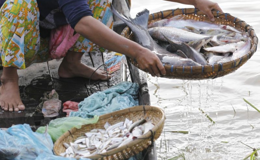 Cortes para Portugal nas capturas de pescada, linguado e lagostim menores do que proposto