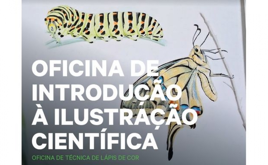 Oficina de Introdução à Ilustração Científica | Técnica de Lápis de Cor Oficina de Introdução à Ilustração Científica | Técnica de Lápis de Cor