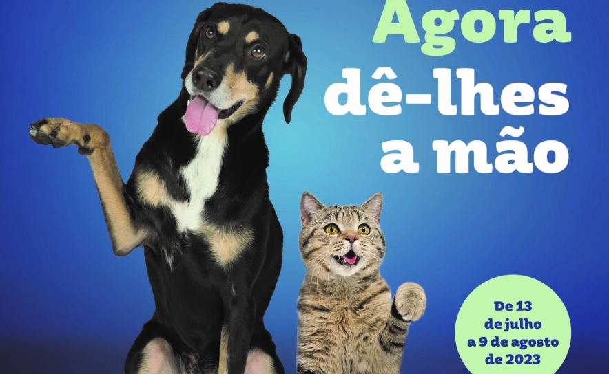 Intermarché associa-se à causa animal com nova campanha solidária Amiga-me