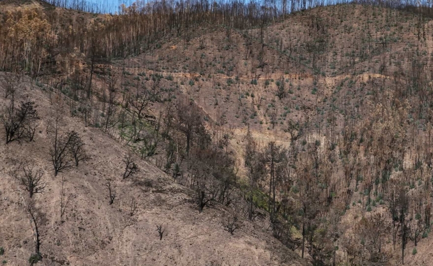 Olhão recebe exposição do GEOTA sobre restauro ecológico na serra algarvia