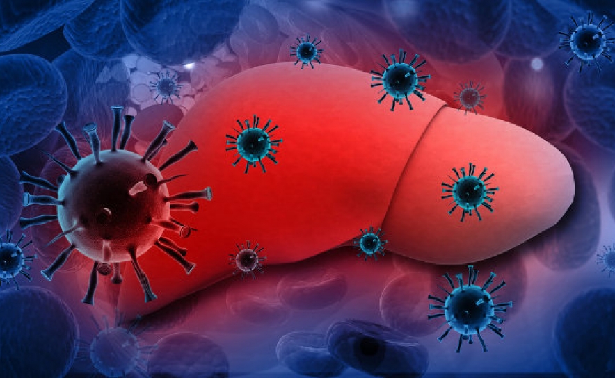 Tratamentos para a hepatite C diminuíram 62,5% durante a pandemia
