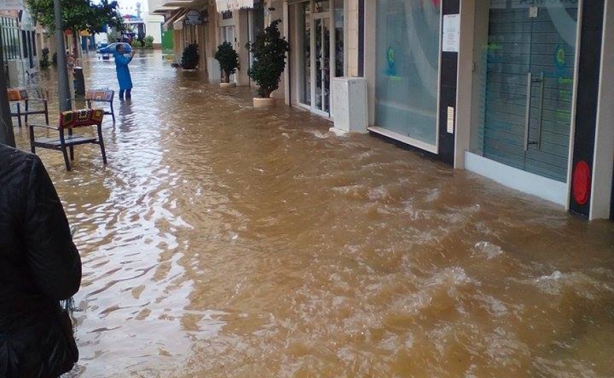 Fotos: Miguel Encarnação