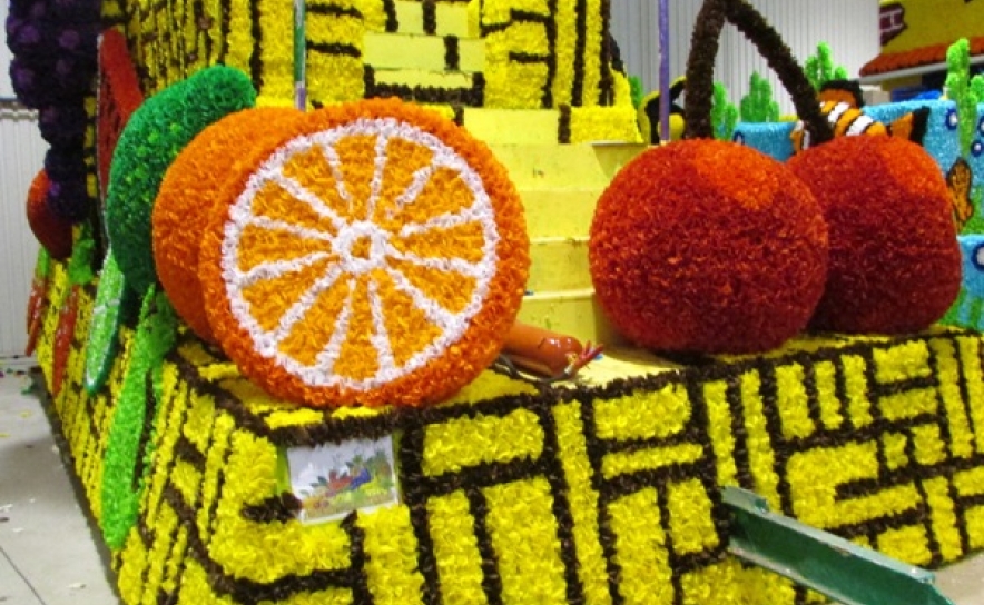 VÁ FRUTA