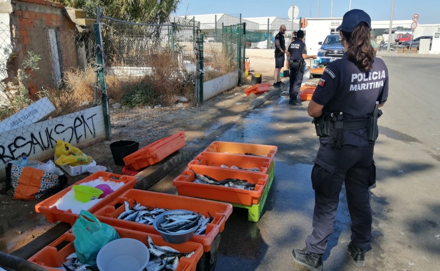 Polícia Marítima realiza ação de fiscalização conjunta à entrada do porto de Quarteira