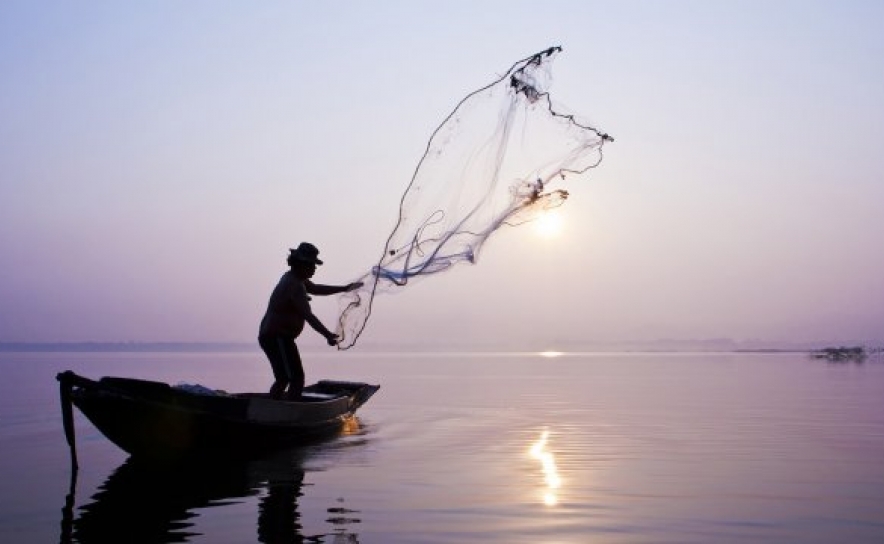 Pescadores de Tavira criticam interdição de captura de canilha