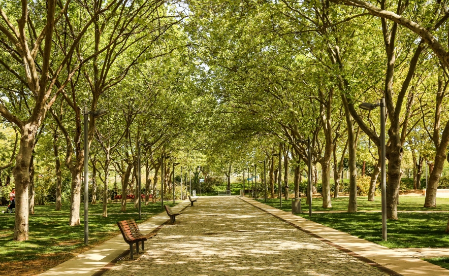 «BORA LÁ AO PARQUE!» DINAMIZA ATIVIDADES PARA PROMOVER ESPÍRITO COMUNITÁRIO EM LOULÉ