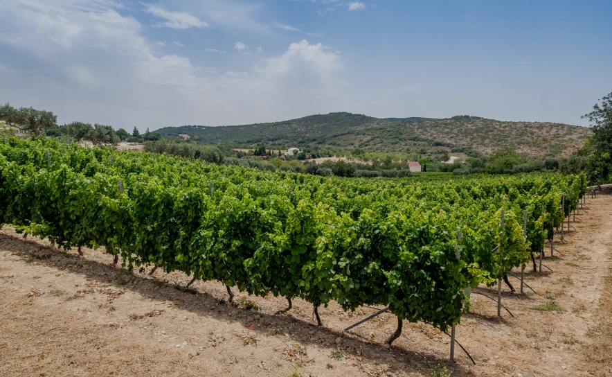 Algarve Wine Tourism foi distinguido com o troféu «Enoturismo 2023»