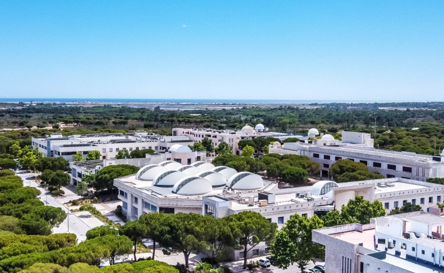 UAlg acolhe reunião de presidentes dos Conselhos Gerais das Universidades Públicas