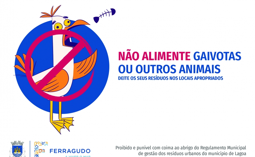 Não alimente Gaivotas e outros animais