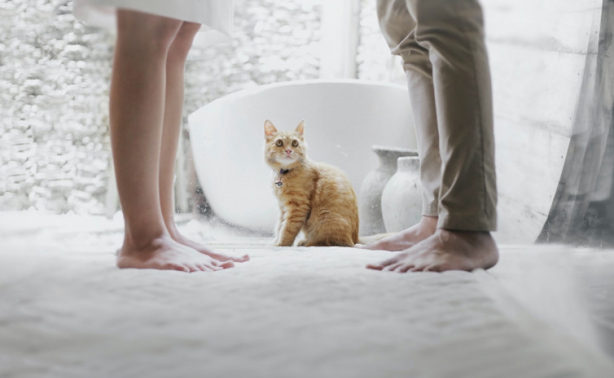 Em caso de divórcio, como se trata do empréstimo da casa?