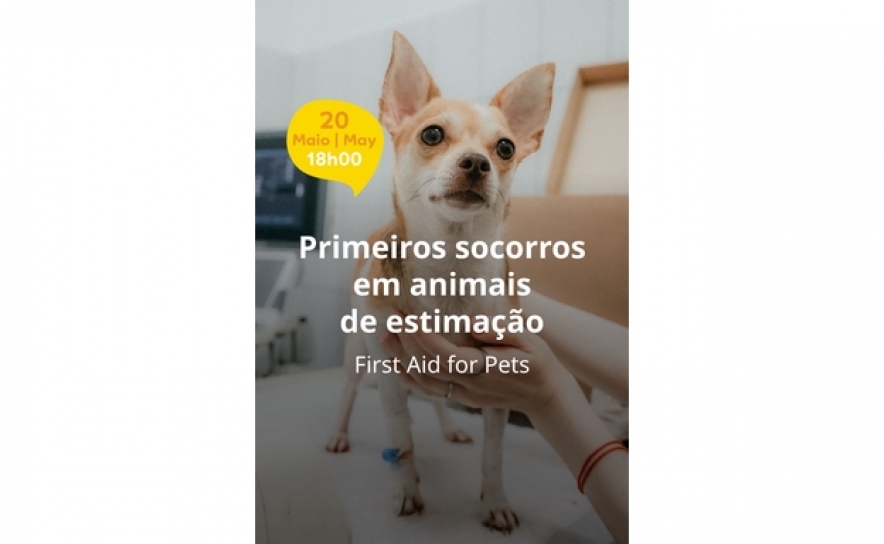 MAR Shopping Algarve promove curso de primeiros socorros para animais