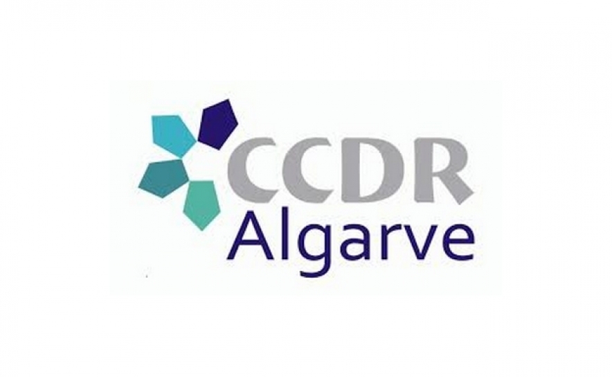 CCDR do Algarve terá no máximo três vice-presidentes