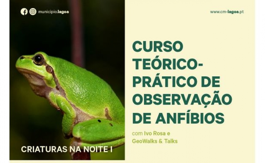 Ciclo de Formações Criaturas da Noite | Curso teórico-prático de Observação de Anfíbios