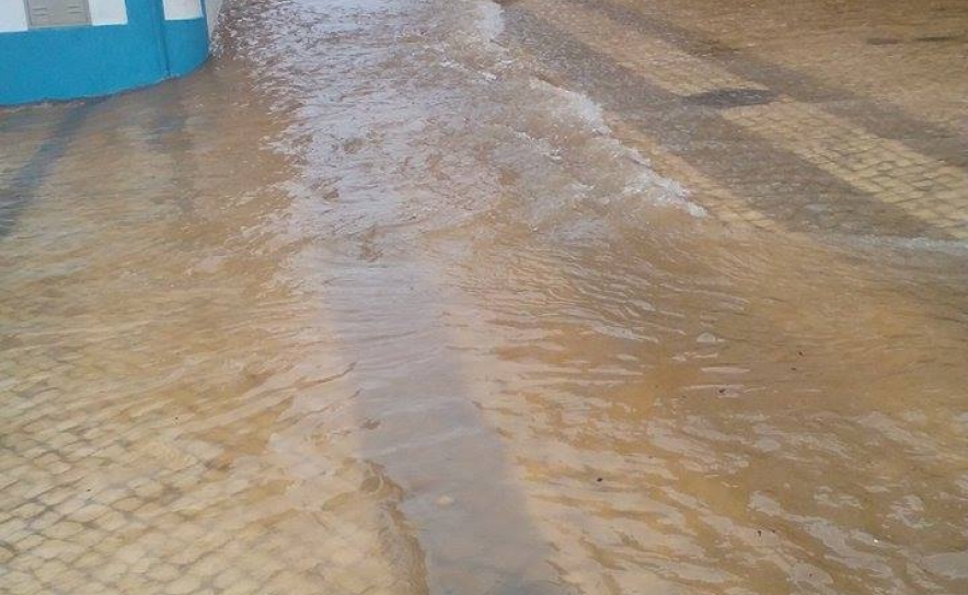 Fotos: Miguel Encarnação