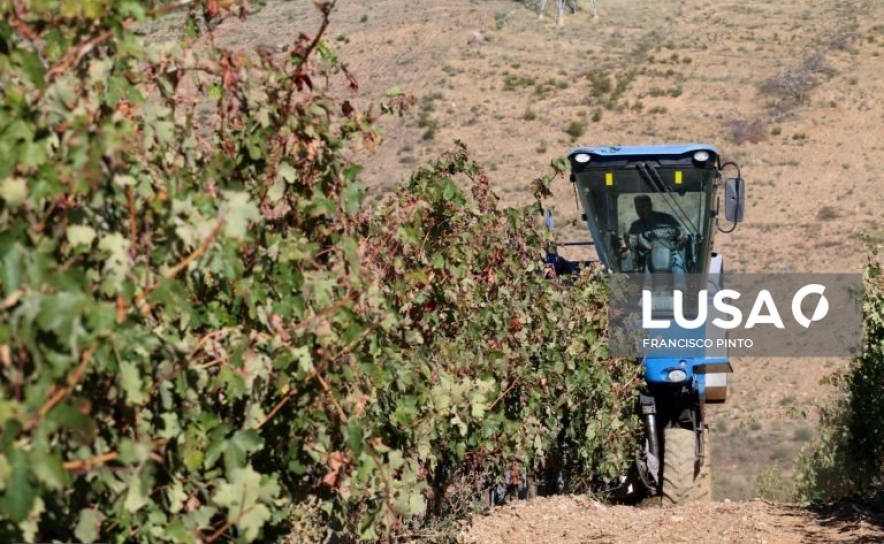 Governo altera regime da pagamentos base para jovens agricultores e pequena agricultura