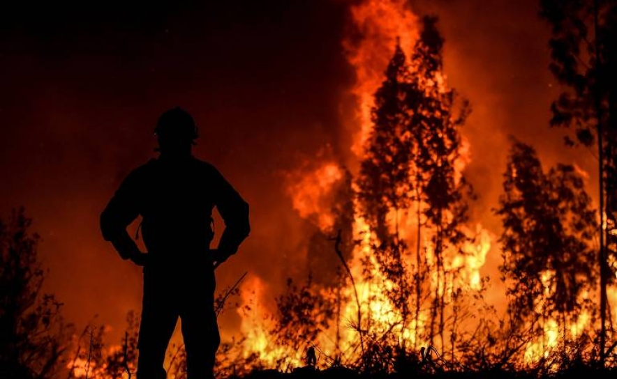 PAN interpela Governo quanto a medidas para fazer face a número anómalo de incêndios