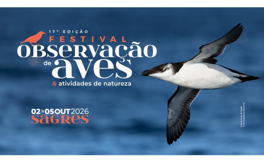 Programa do Festival de Observação de Aves já está disponível online